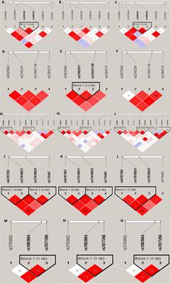 Polymorphisms in Lysyl Oxidase Family Genes Are Associated With Intracranial Aneurysm Susceptibility in a Chinese Population